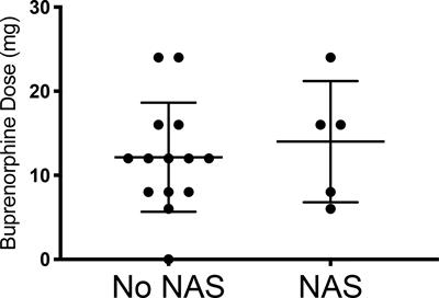 Opioid Addiction/Pregnancy and Neonatal Abstinence Syndrome (NAS): A Preliminary Open-Label Study of Buprenorphine Maintenance and Drug Use Targeted Psychotherapy (DUST) on Cessation of Addictive Drug Use